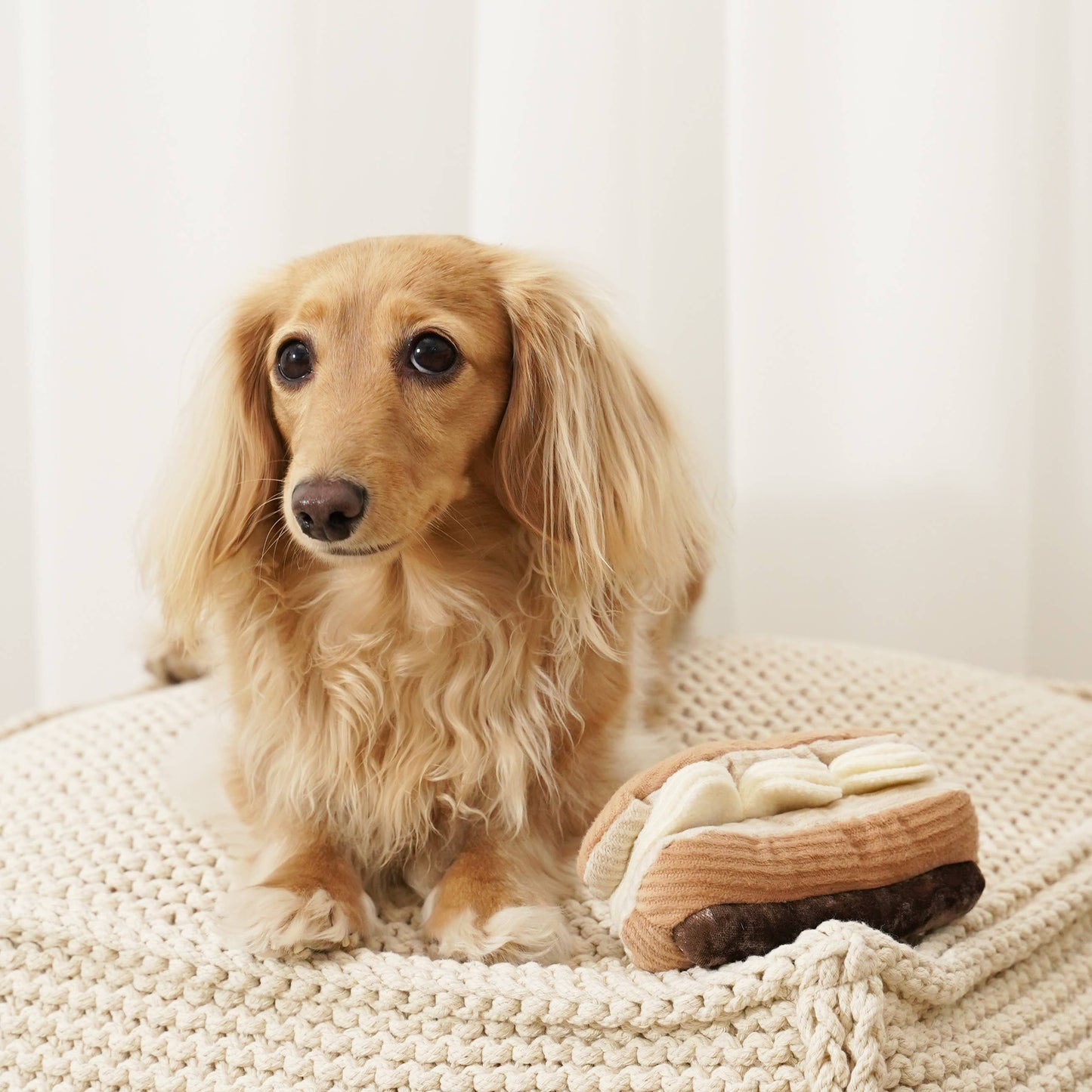Eclair / Enrichment Dog Toy