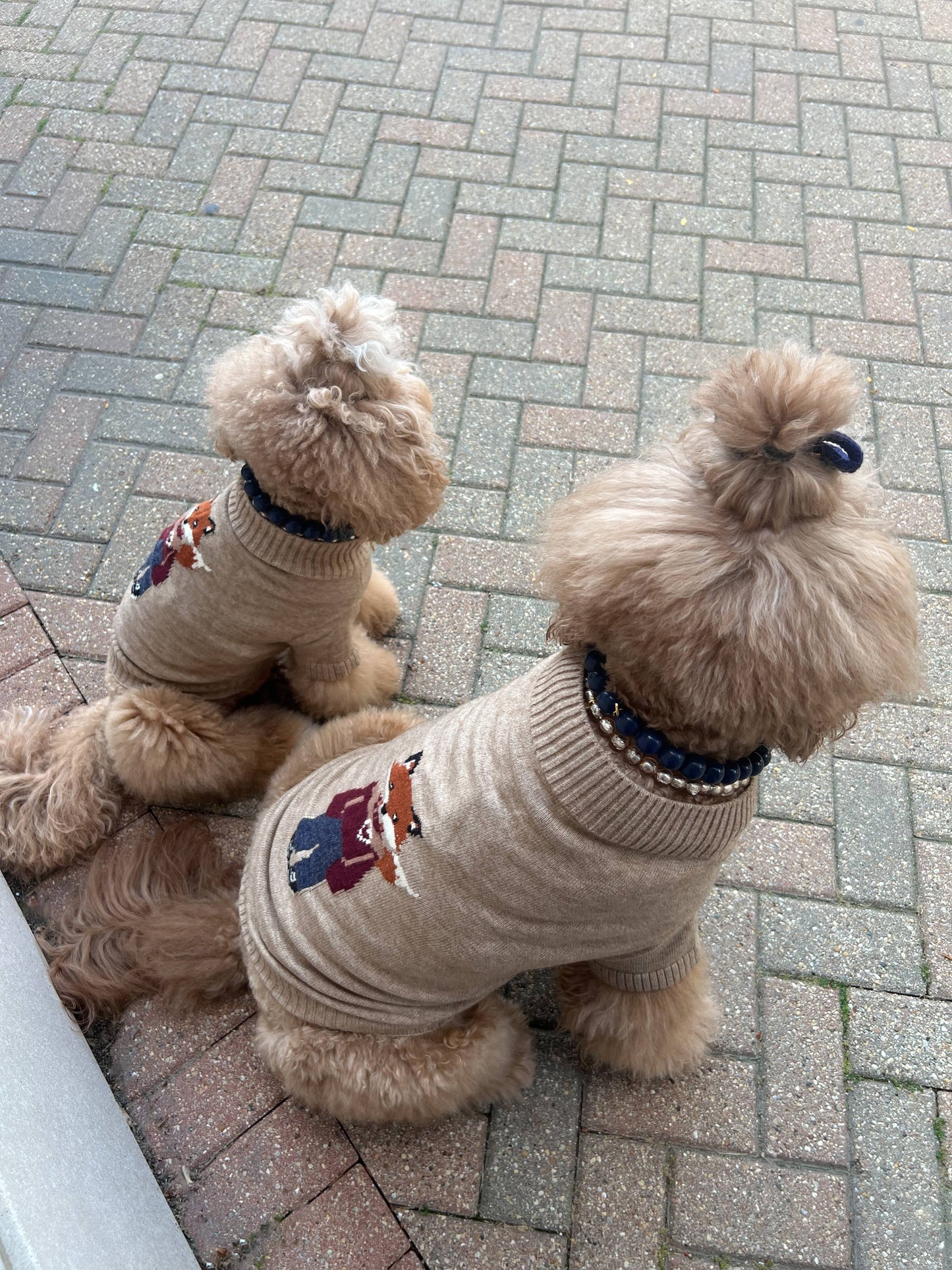 Foster The Fox Dog Sweater