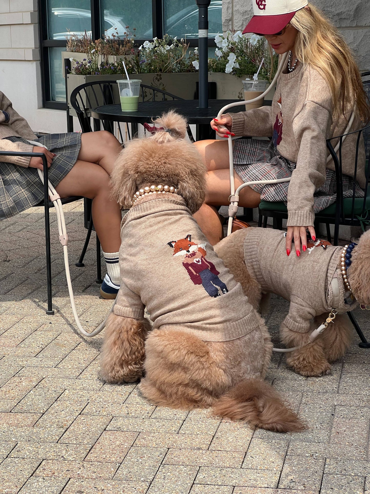 Foster The Fox Dog Sweater