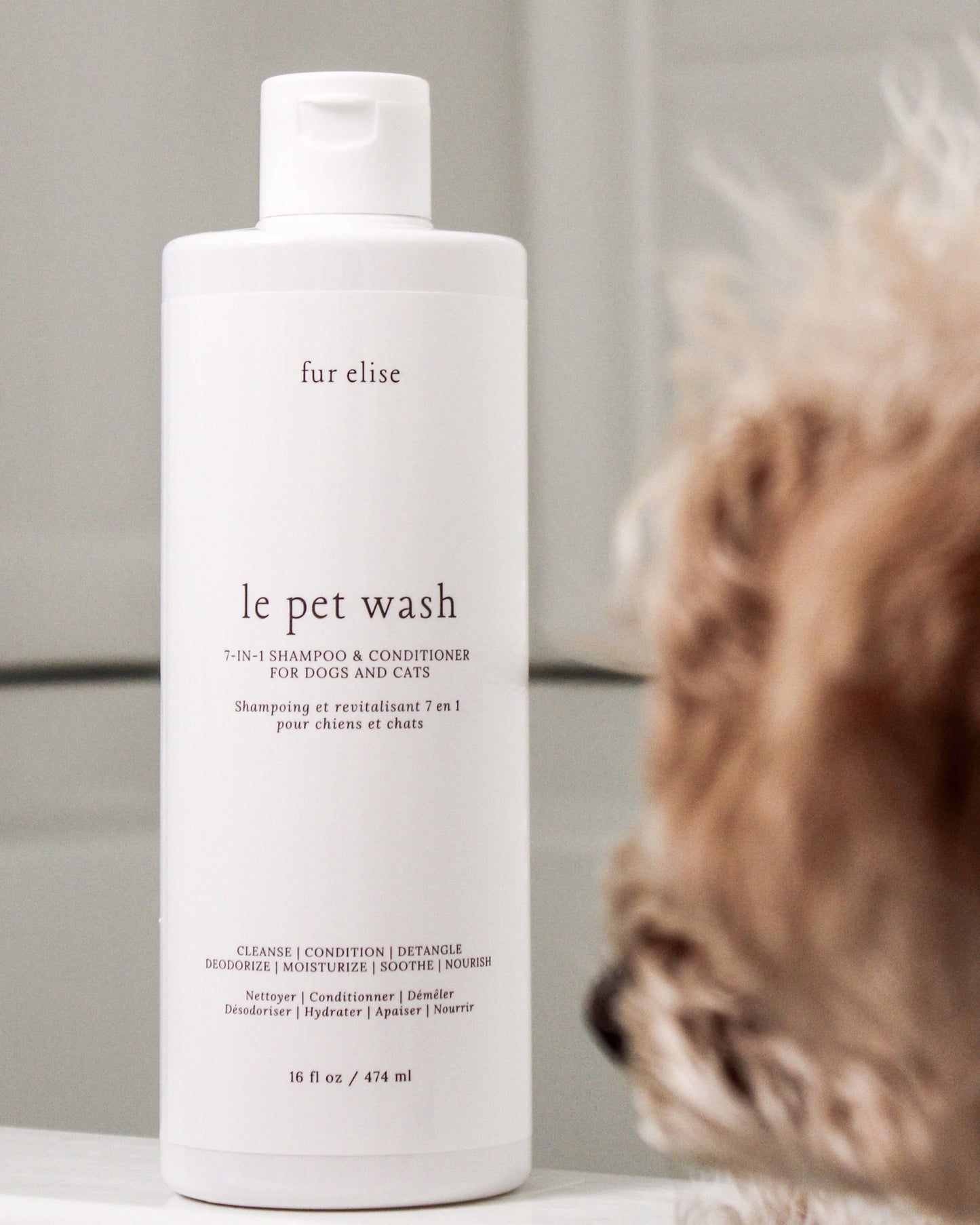 Le Pet Wash