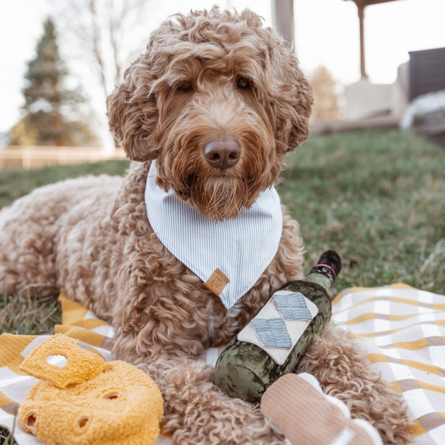 Merlot Wine Bottle / Enrichment Dog Toy