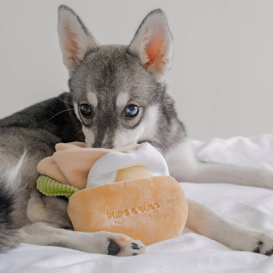 Pita Pocket Nosework Toy