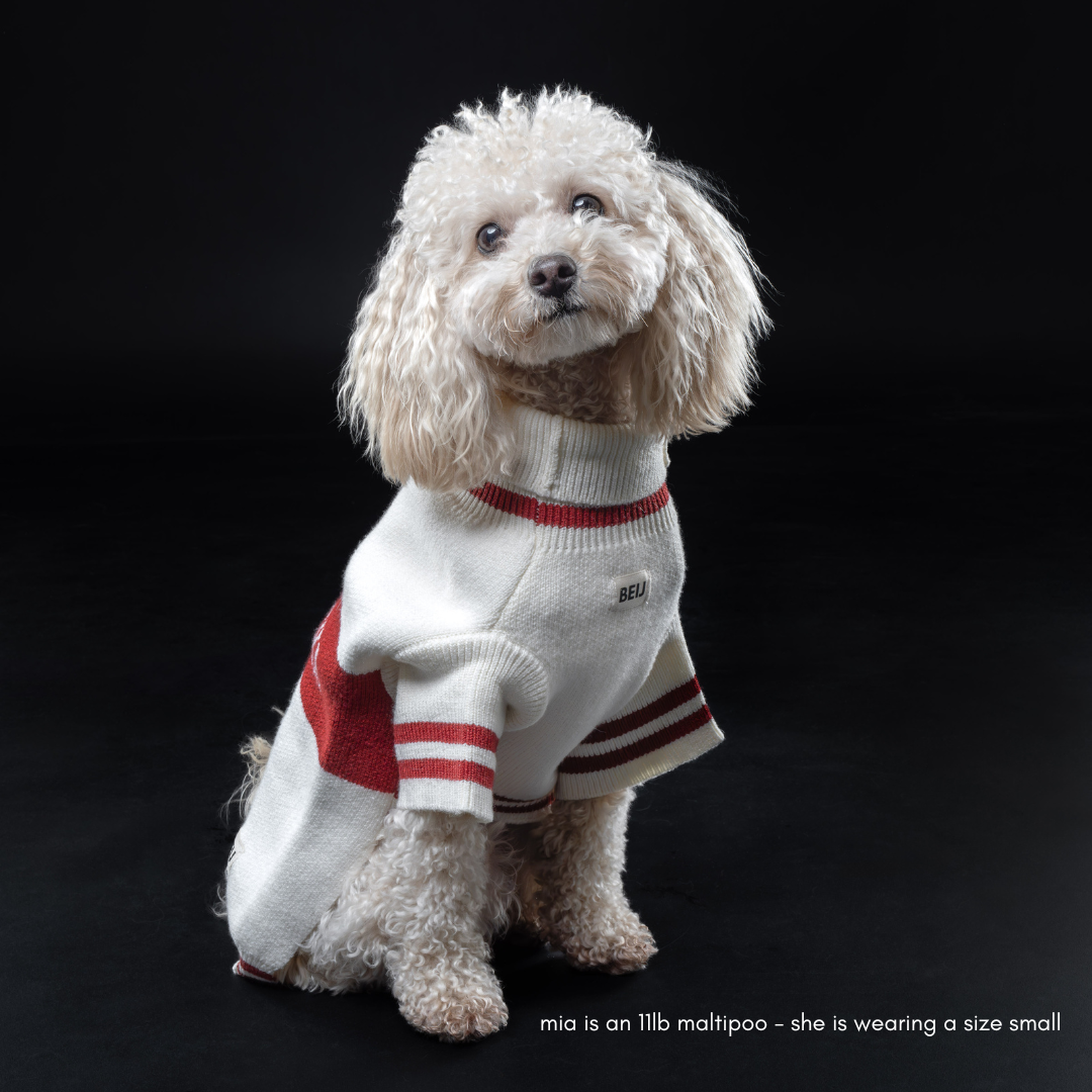 Après-ski Pet Sweater for Dogs and Cats