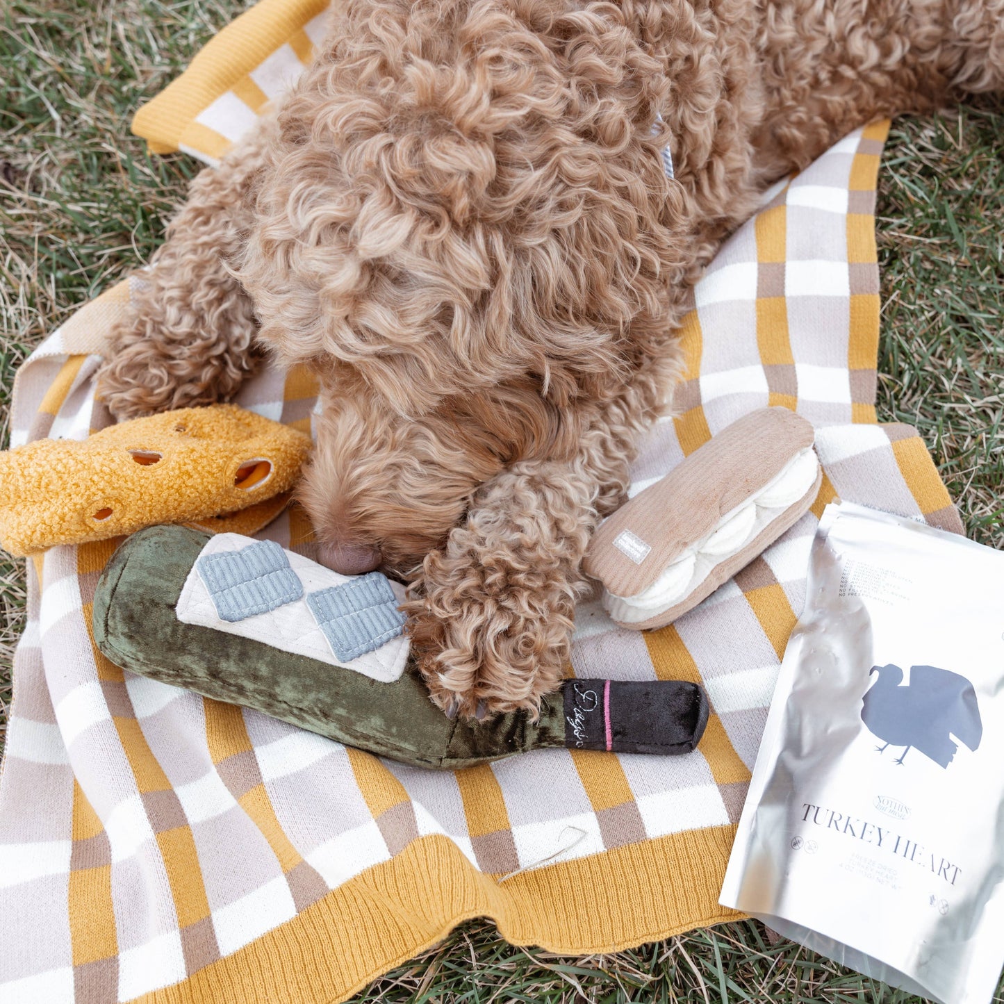 Merlot Wine Bottle / Enrichment Dog Toy