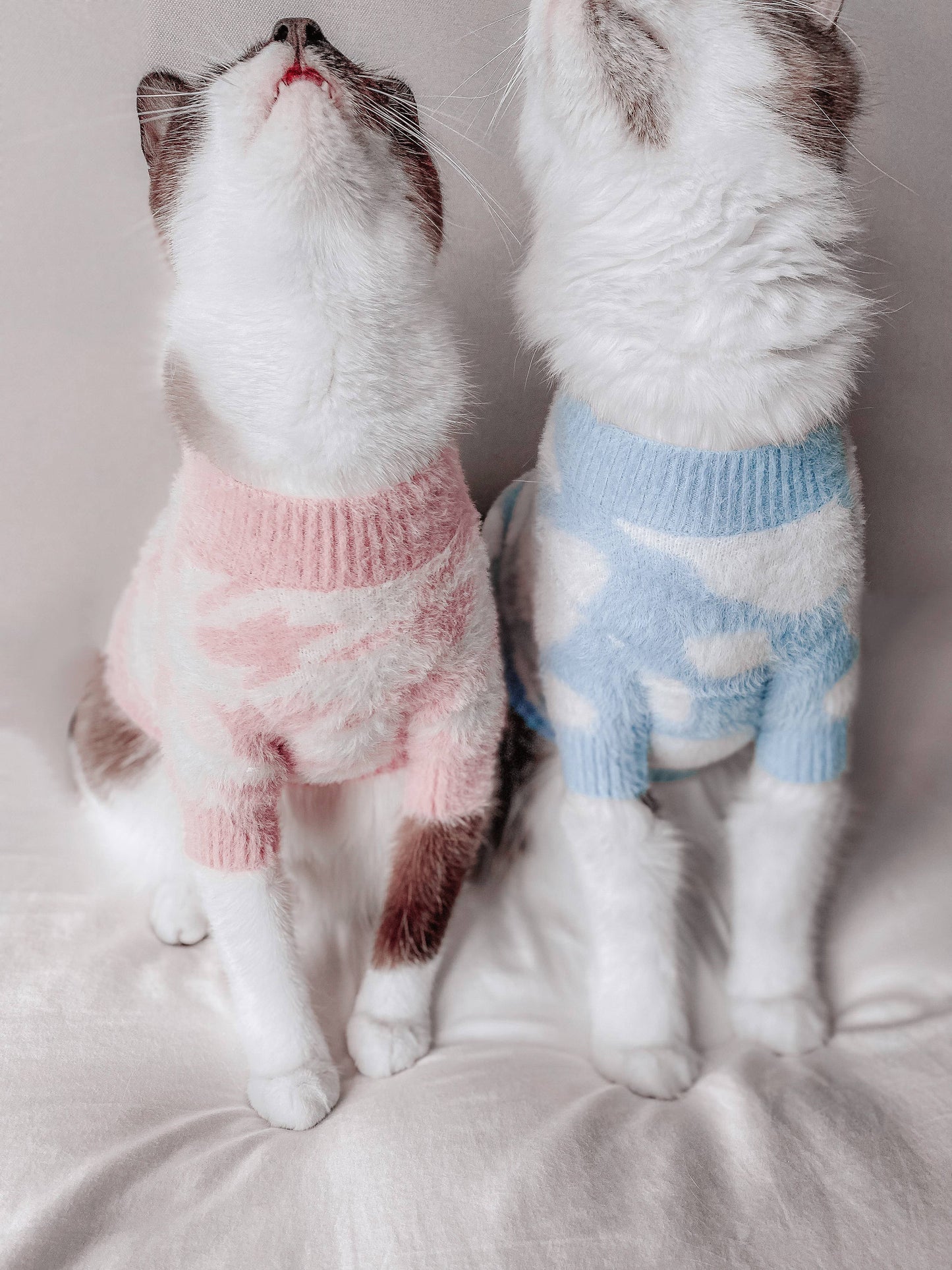 Jolie Soft Cloud Sweater | Pet Sweater for Dogs & Cats