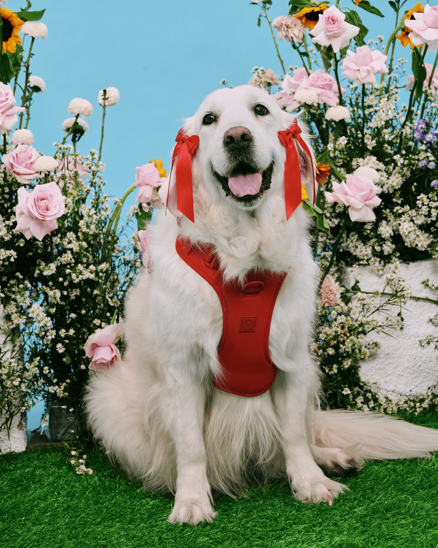 Wander! Bow Harness Kit Cherry