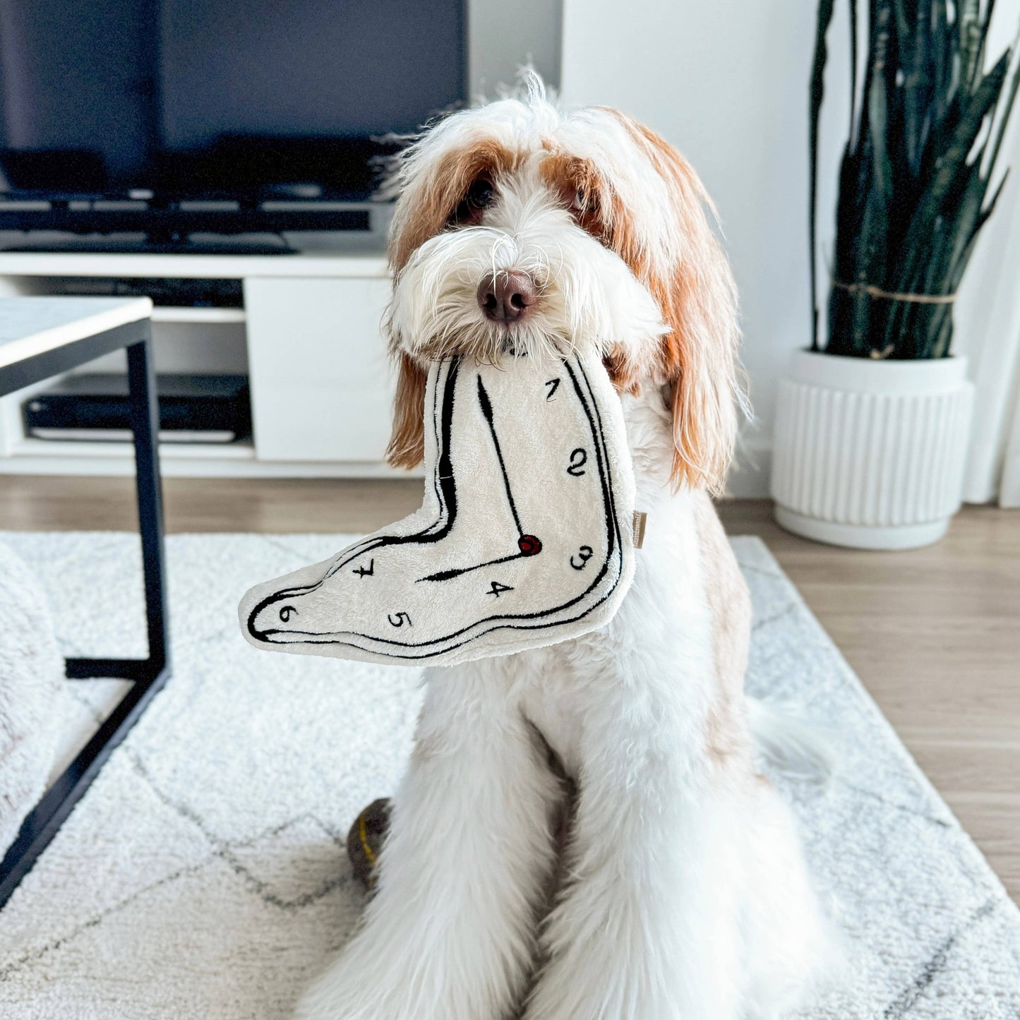 DALI // Surrealist Snuffles / ENRICHMENT DOG TOY
