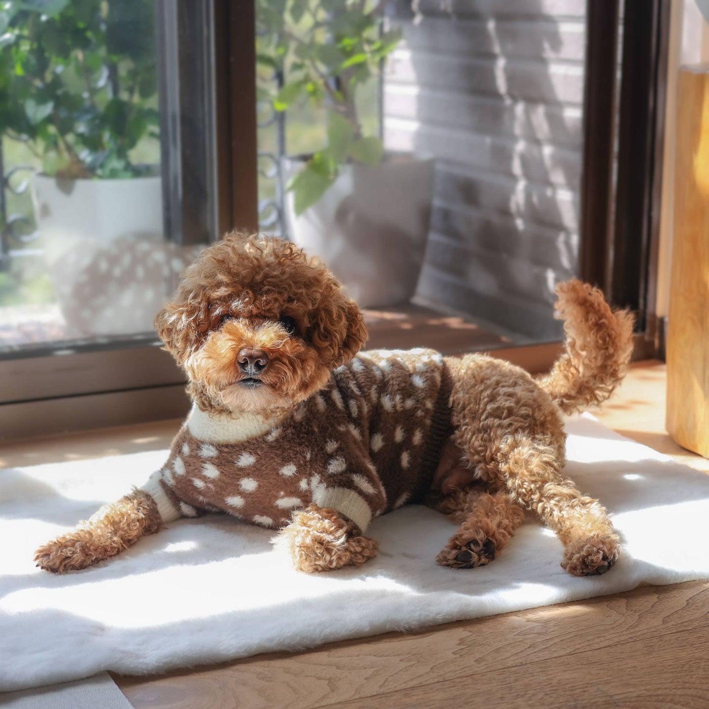 Oh Deer! Soft Cloud Sweater | Pet Sweater for Dogs & Cats