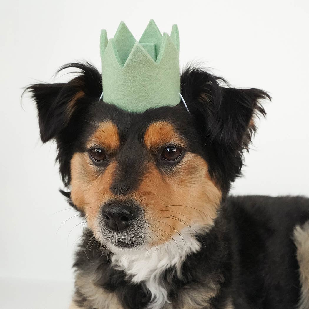 NEUTRAL PARTY CROWNS