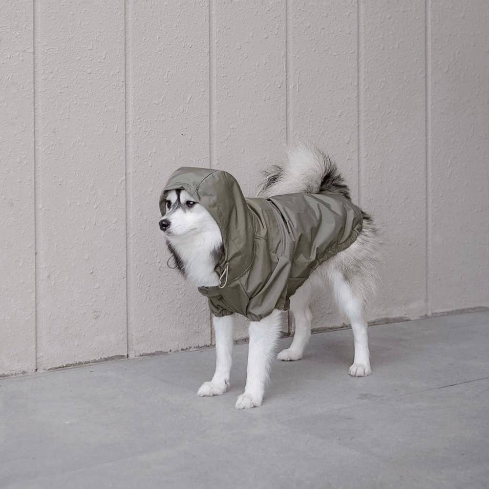 BROOKLYN DOG COAT