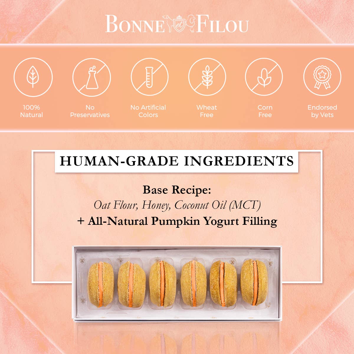 Dog Macarons | Dog Gifts (3 count)