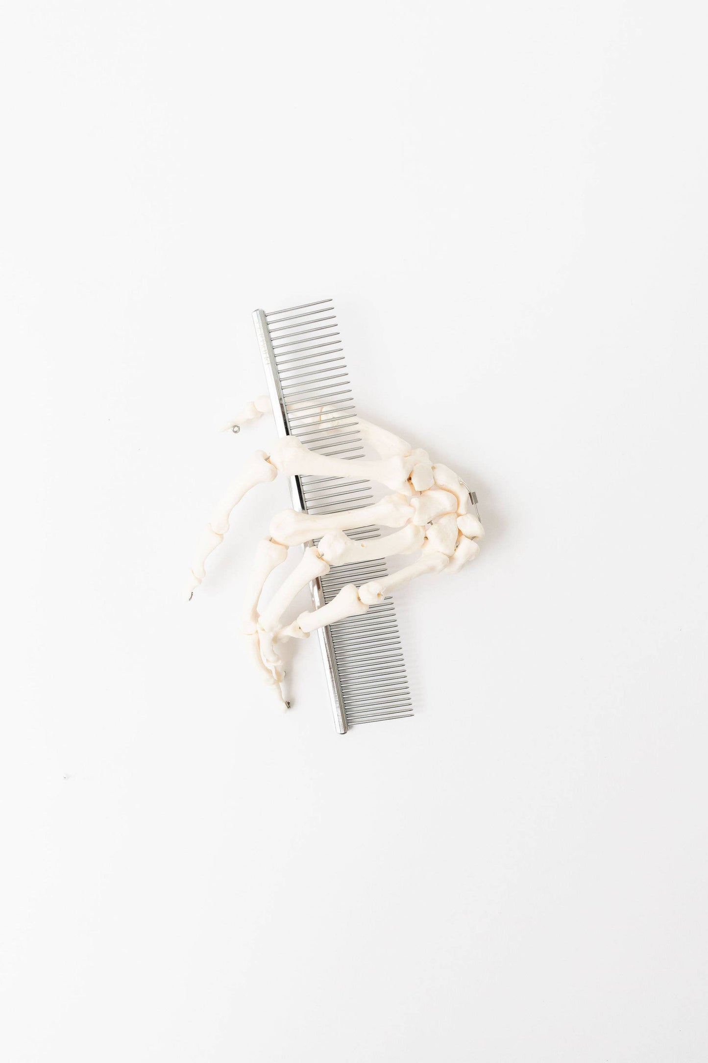 Everyday Comb