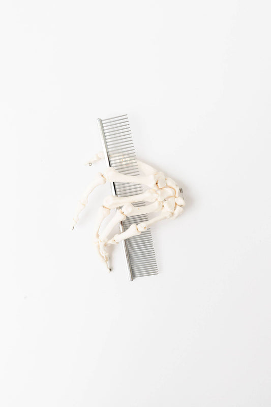 Everyday Comb
