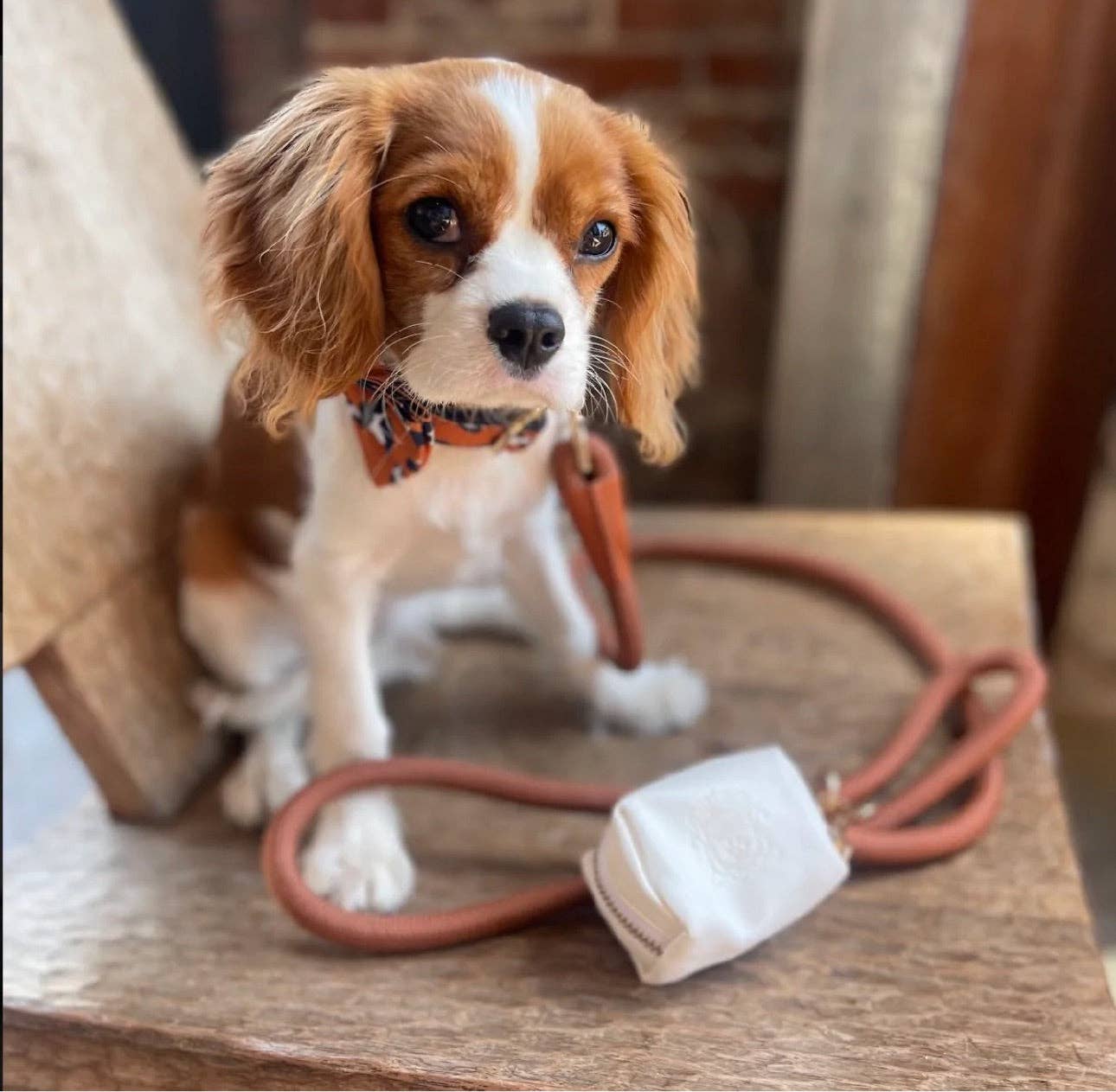 The Classic Leash - Saddle