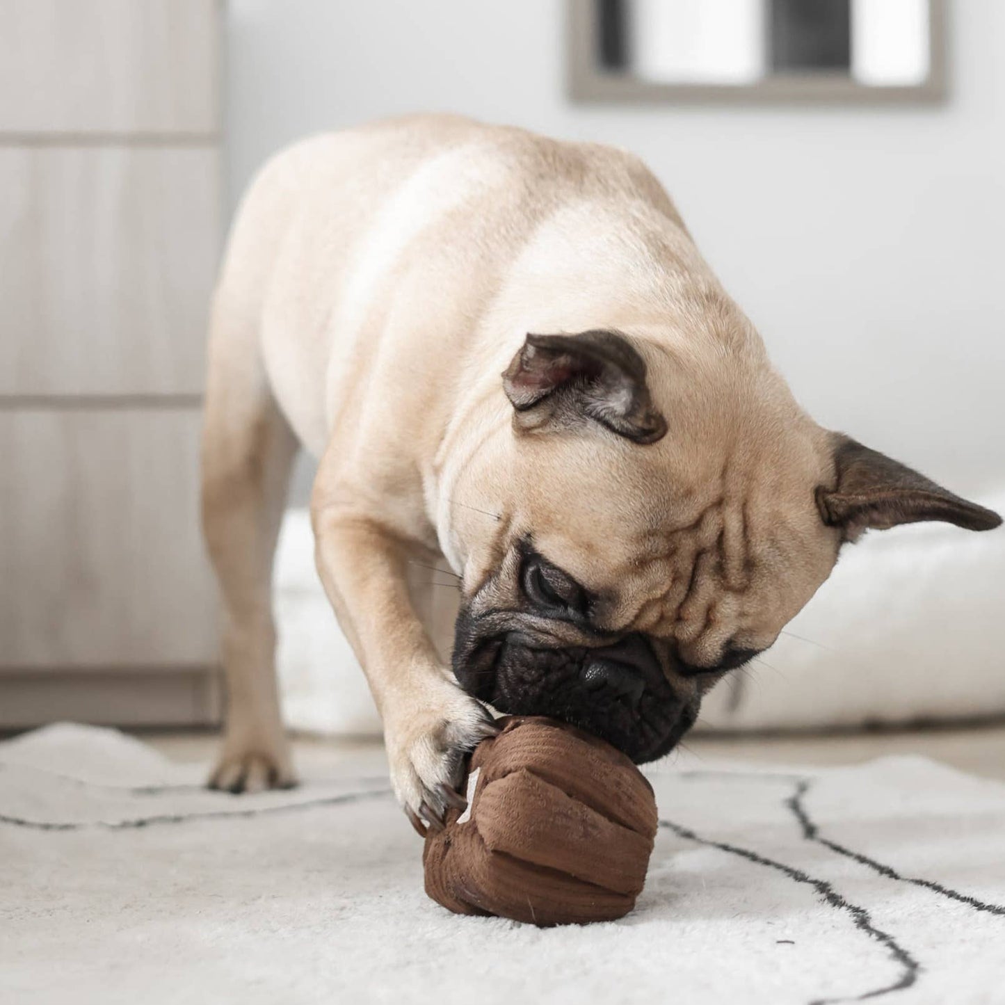 CANELE ENRICHMENT DOG TOY
