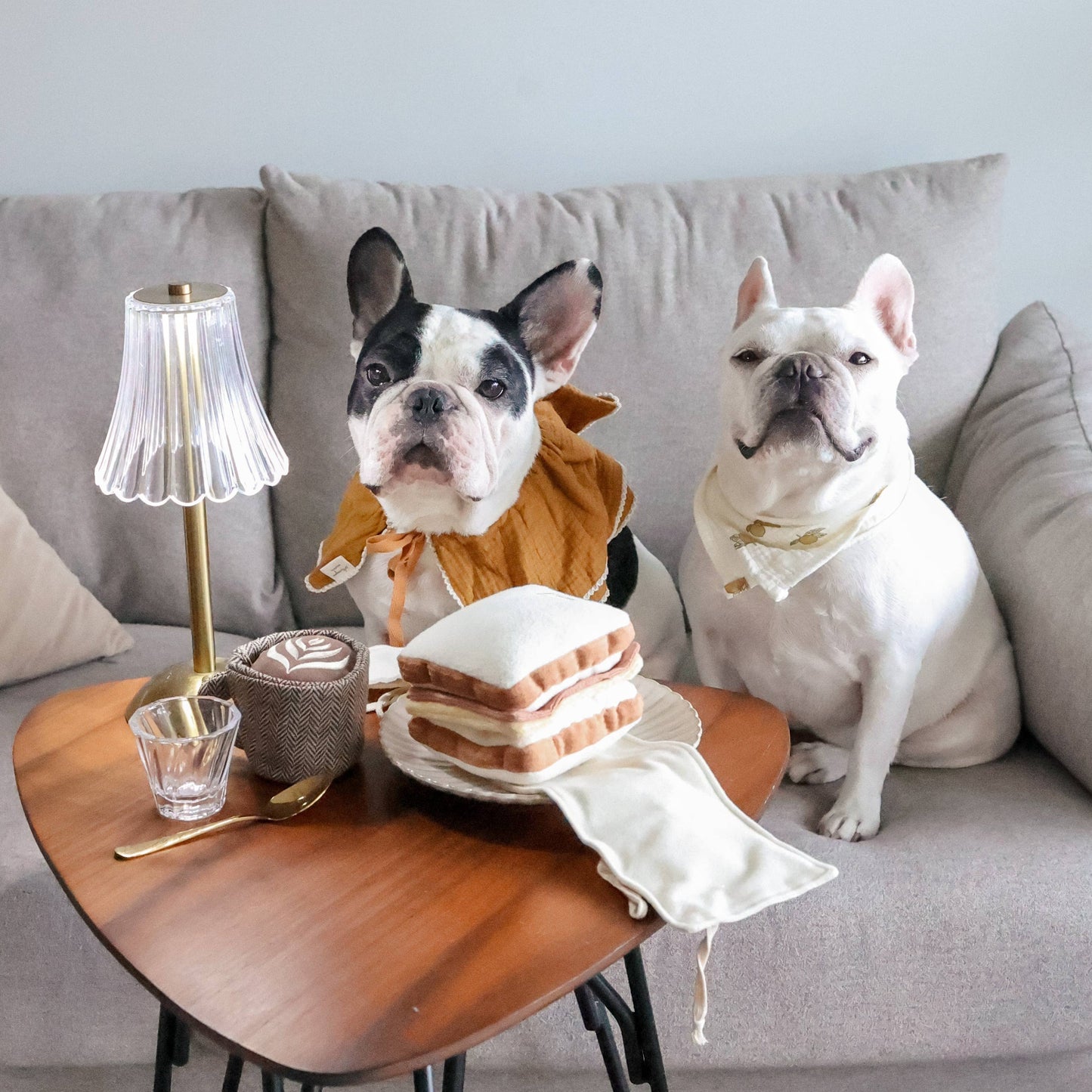 Latte Pop / Enrichment Toy Set // Snuffle Toy
