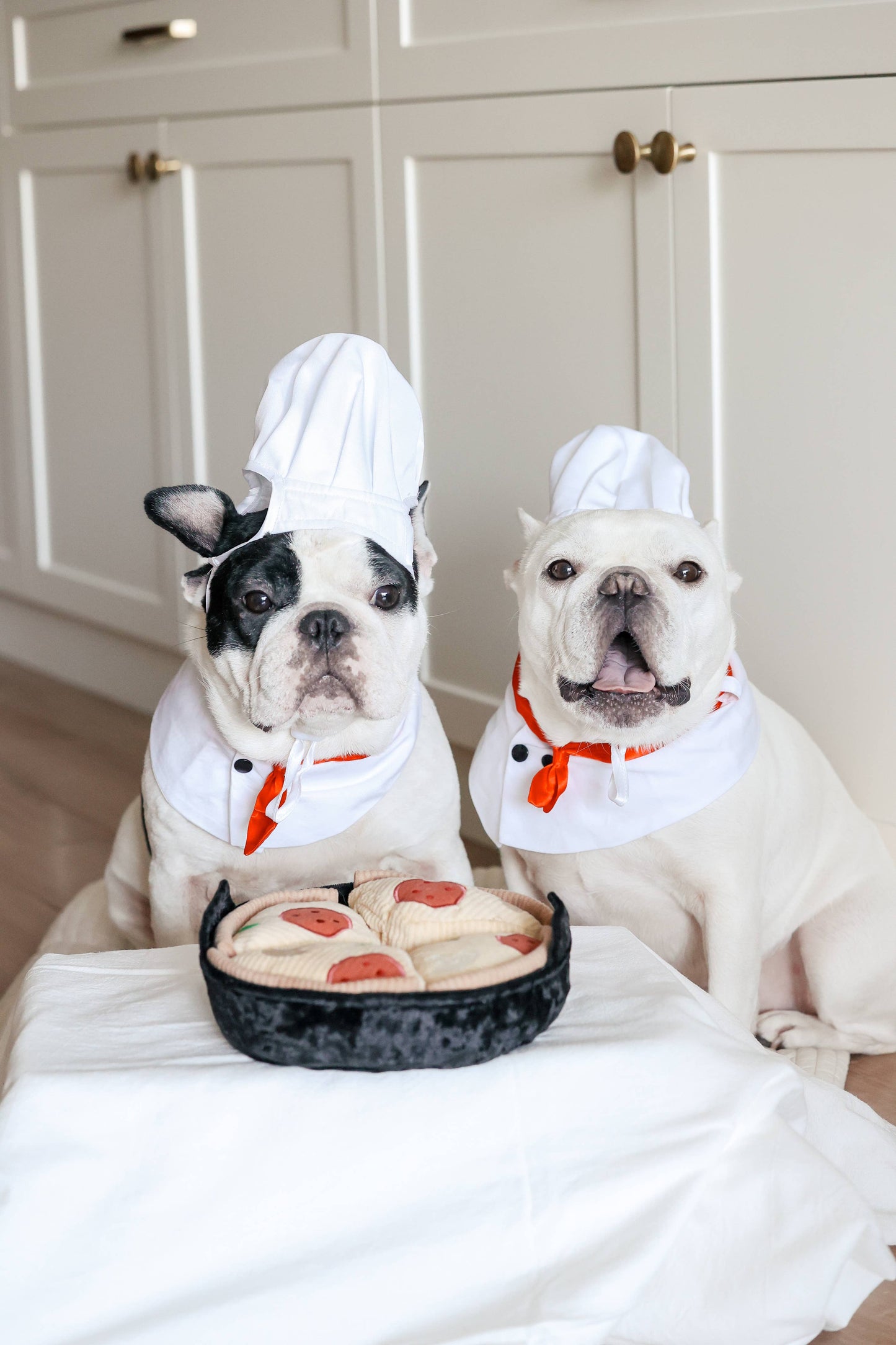 DEEP DISH PIZZA // ENRICHMENT DOG TOY