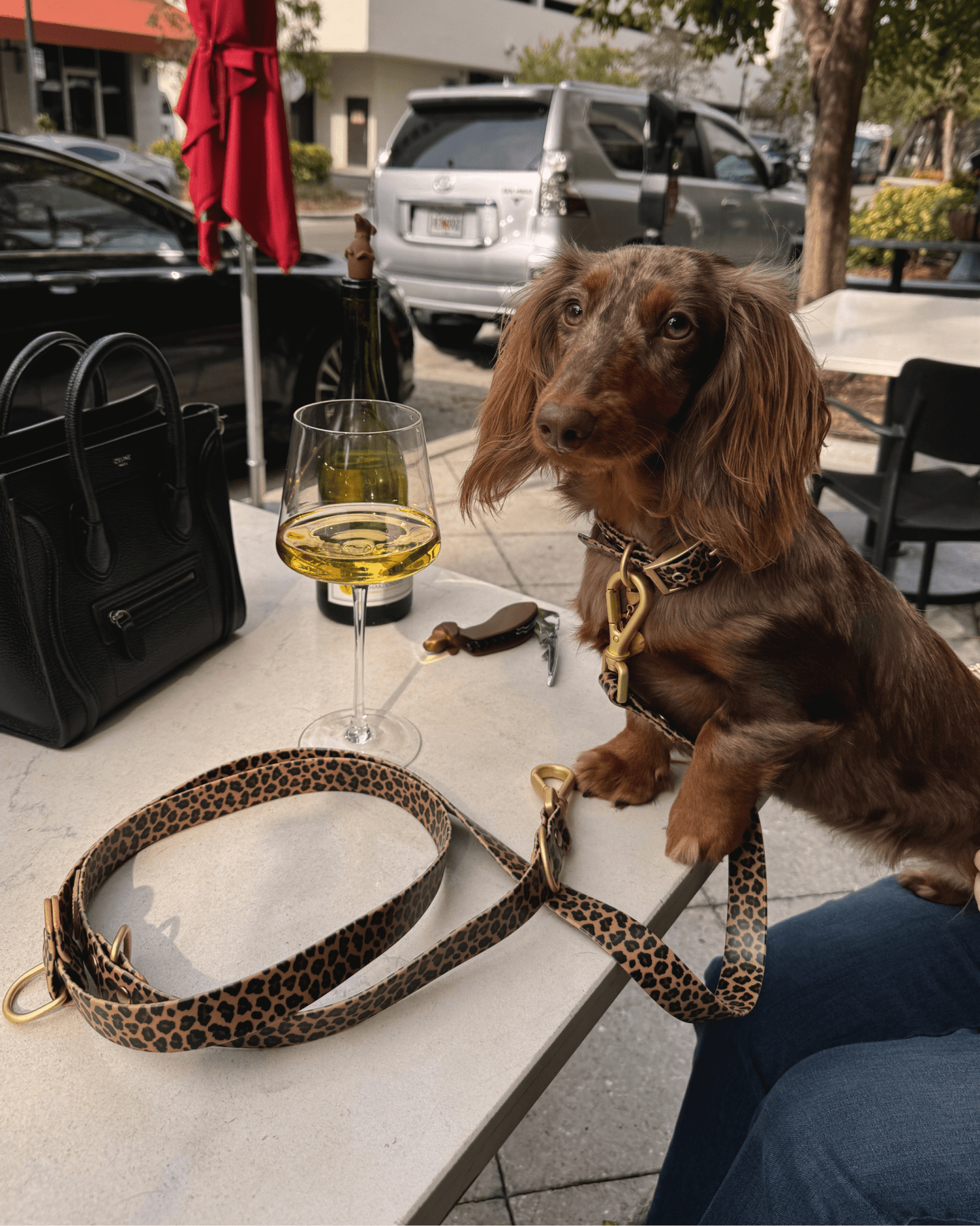 Wander! Multiway Waterproof Leash Leopard