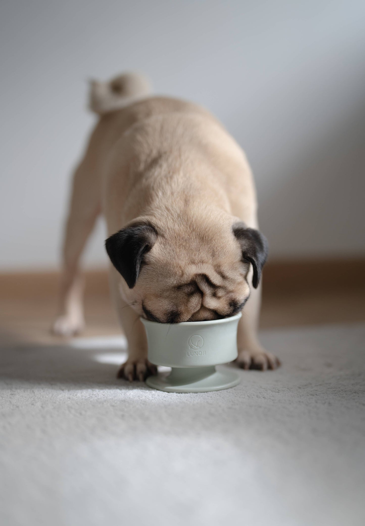 CHEWDEN Trove: Dog Enrichment Feeder | Frozen Treat Cup