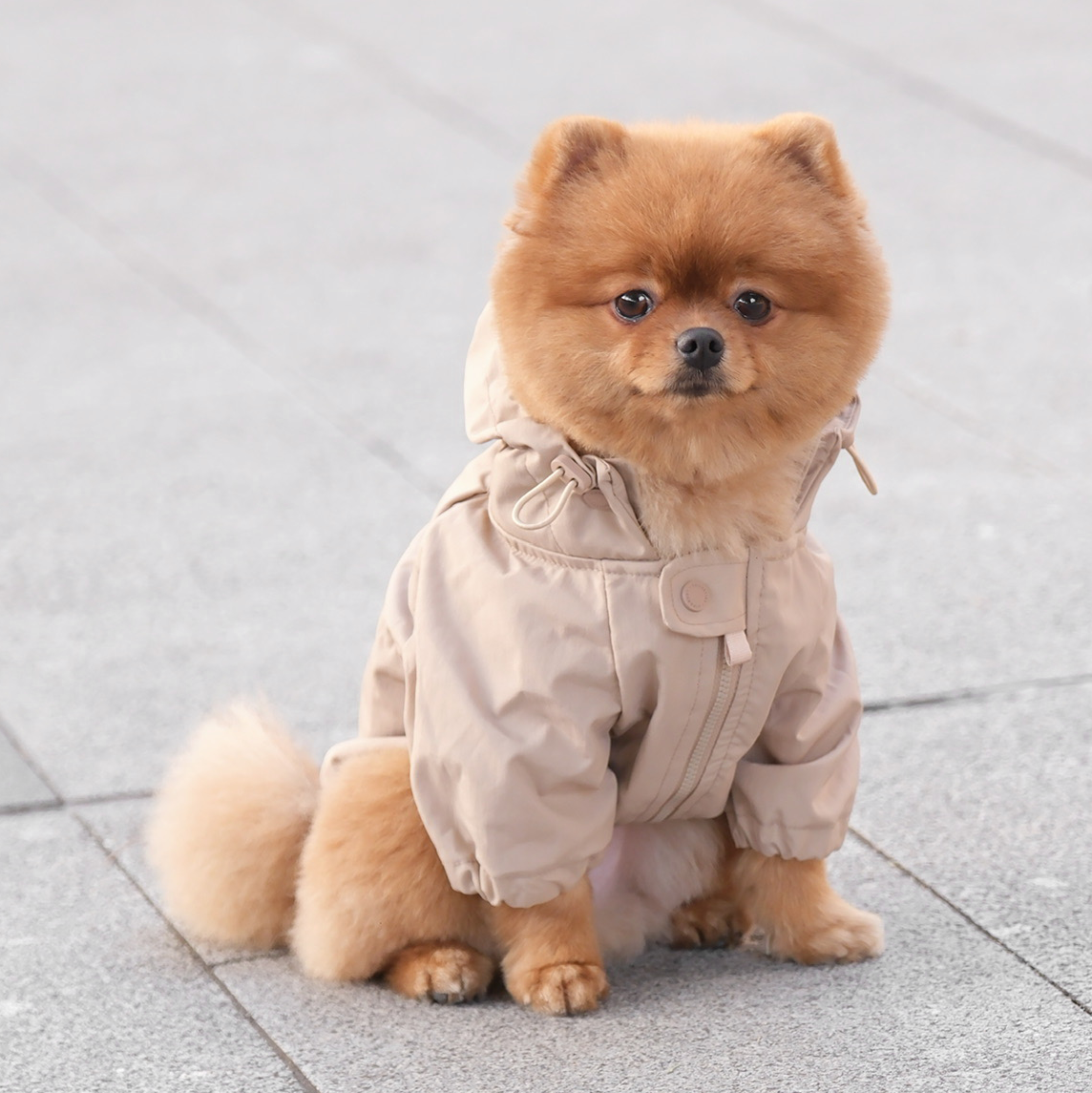 BROOKLYN DOG COAT
