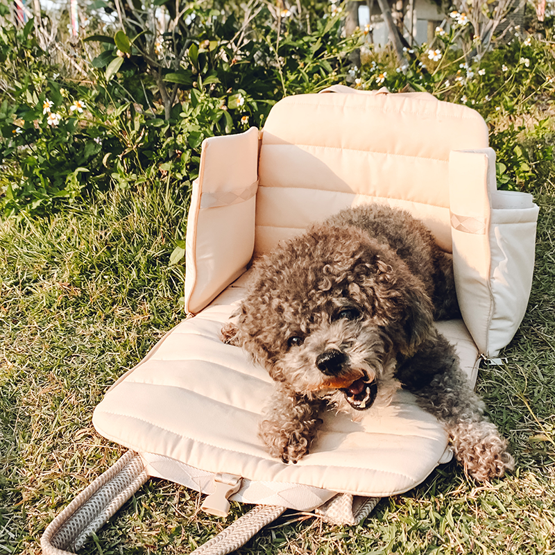 Everywhere Convertible Tote Bag | Dog Carrier | 2 Colors