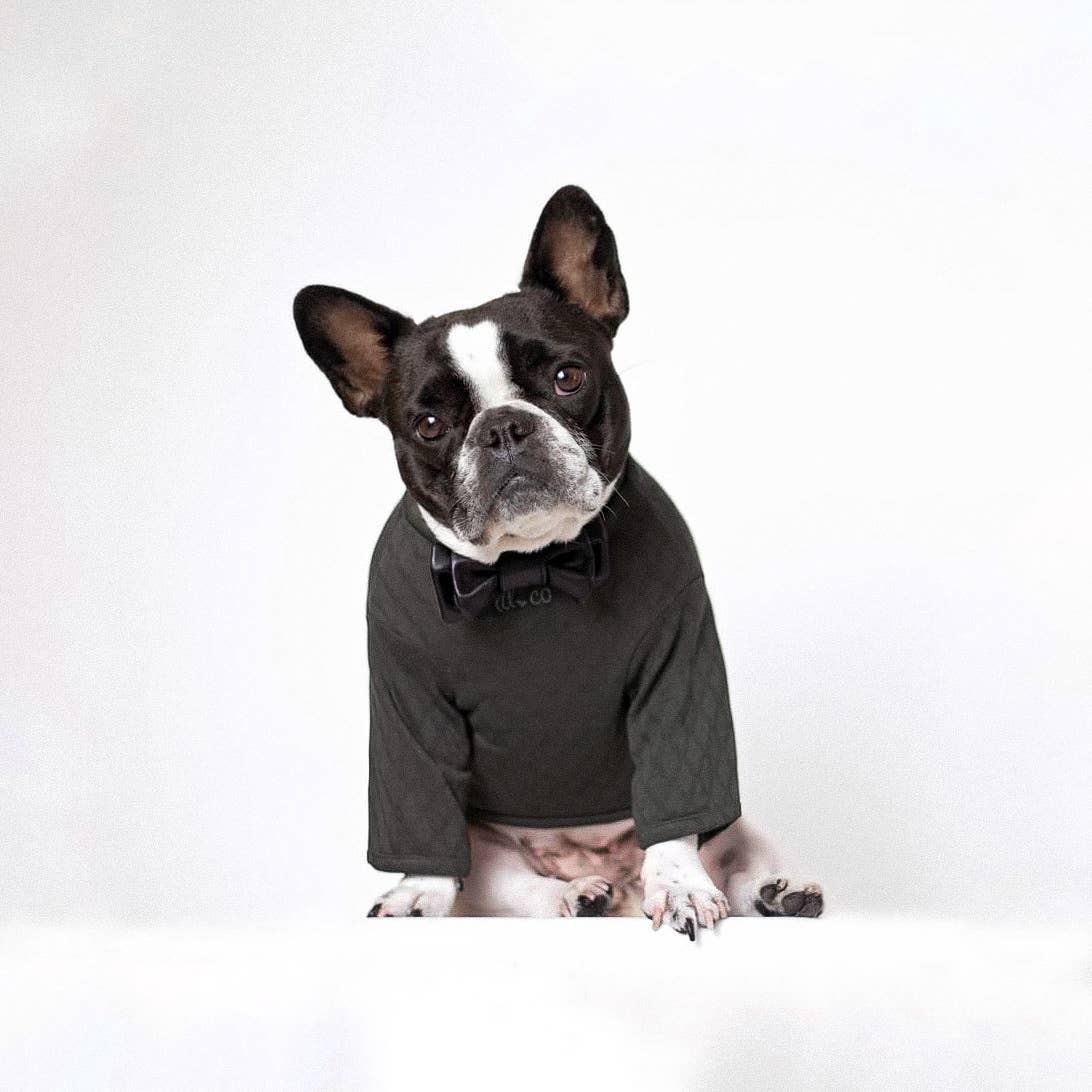 Marlowe Pet
