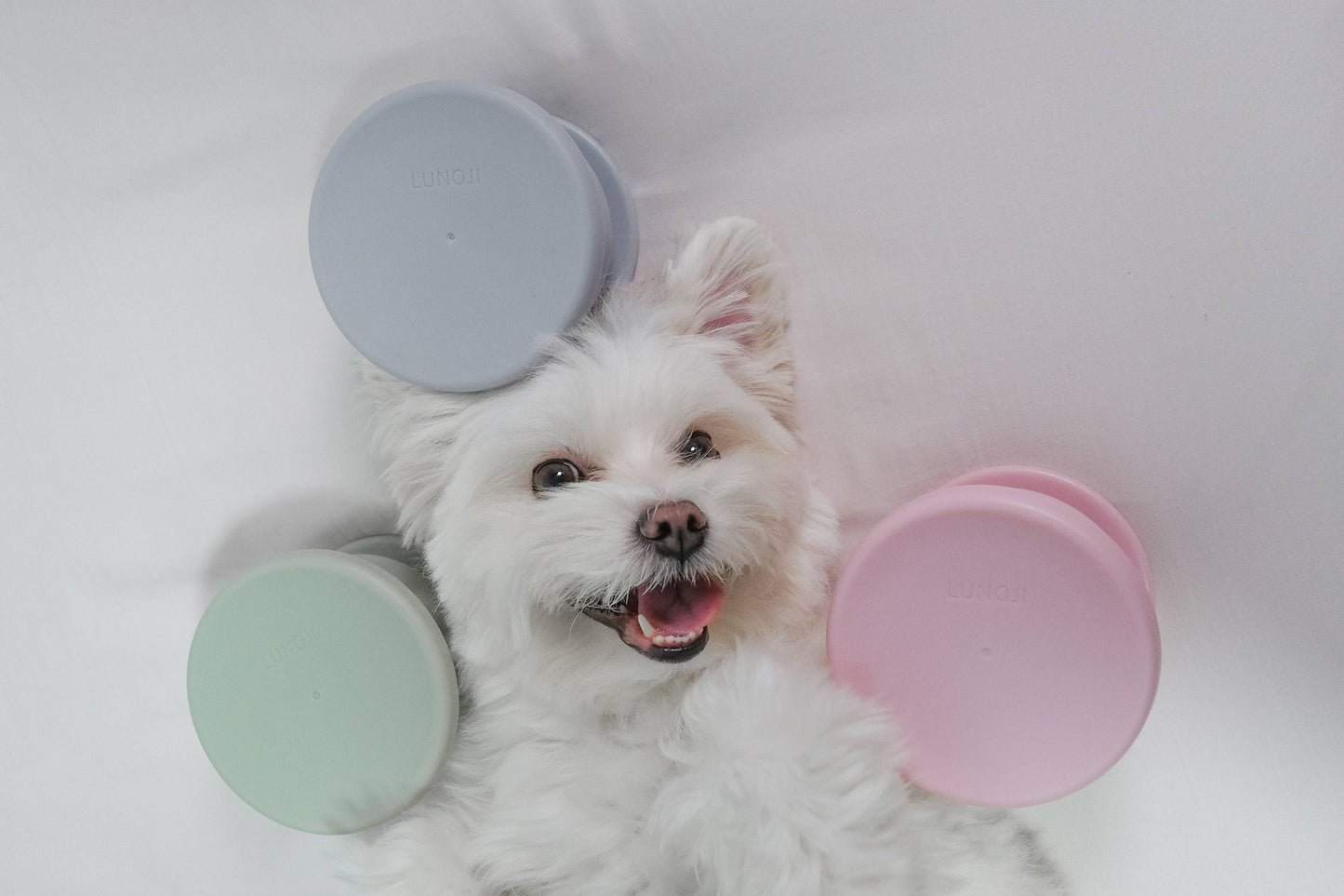 CHEWDEN Trove: Dog Enrichment Feeder | Frozen Treat Cup