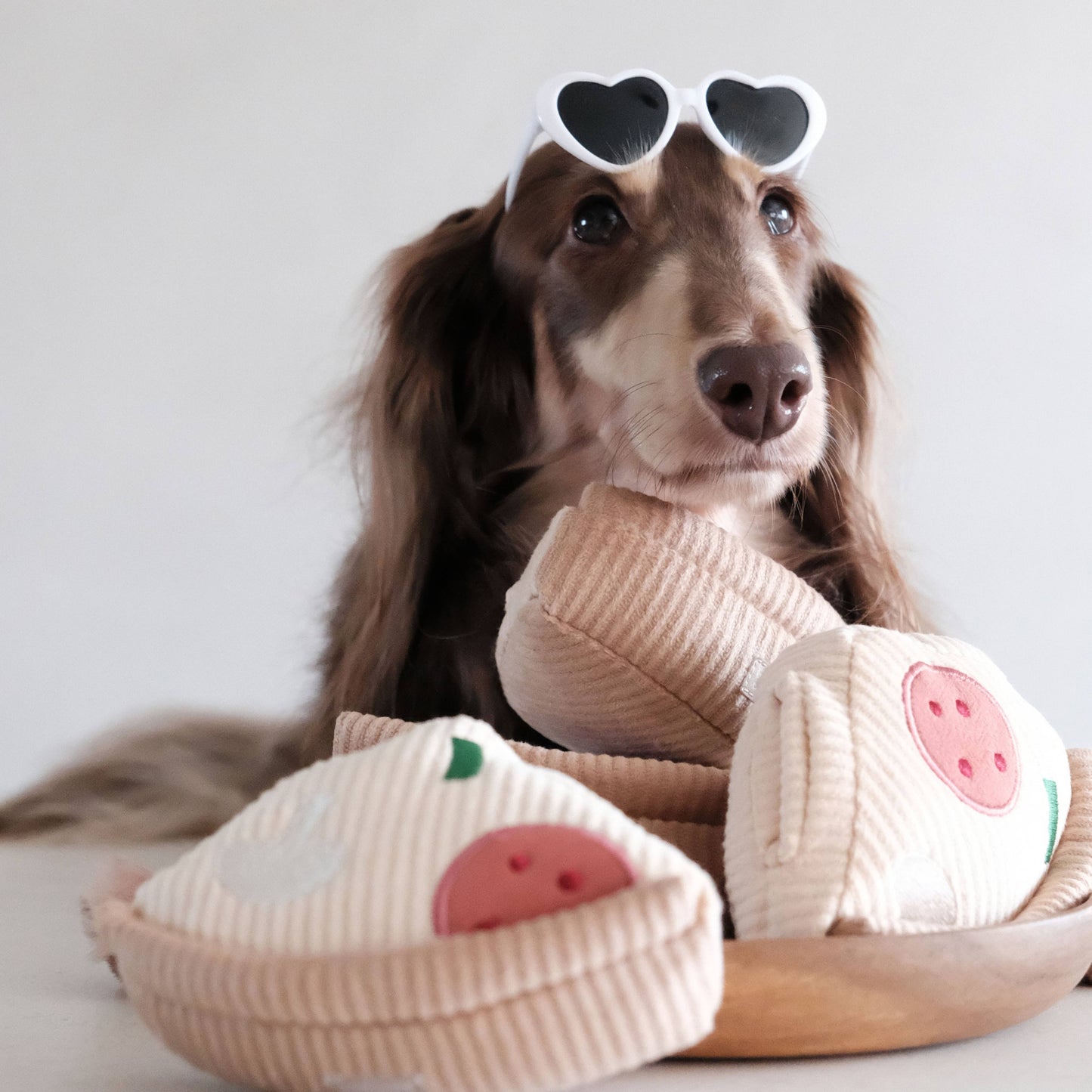 DEEP DISH PIZZA // ENRICHMENT DOG TOY