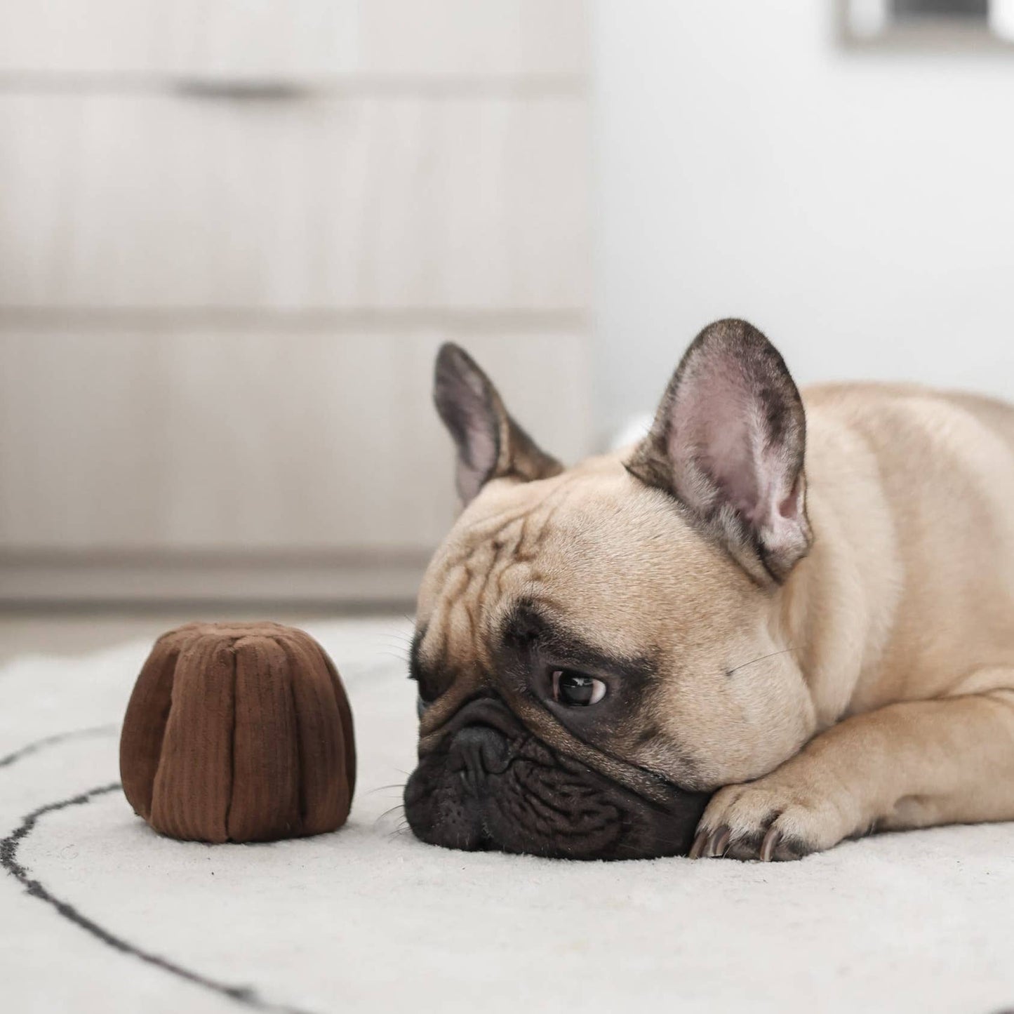 CANELE ENRICHMENT DOG TOY