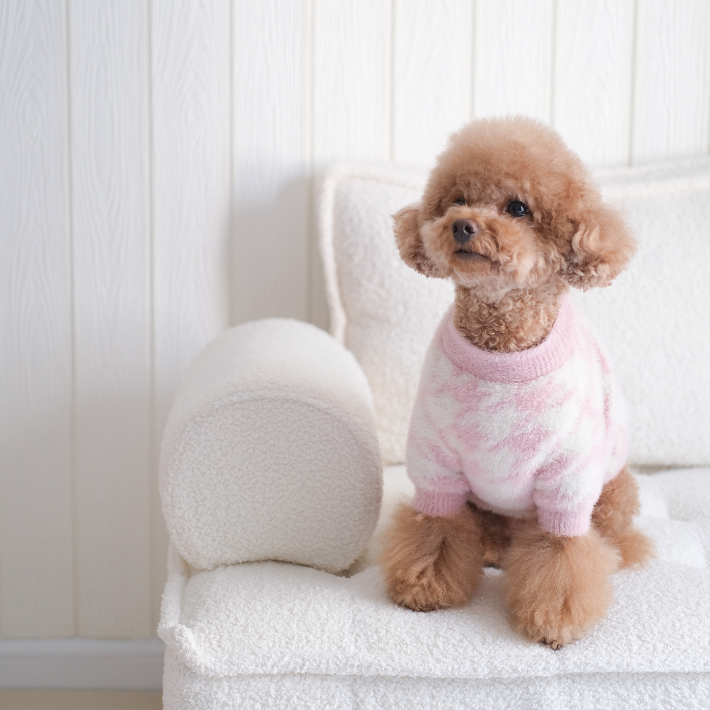 Jolie Soft Cloud Sweater | Pet Sweater for Dogs & Cats