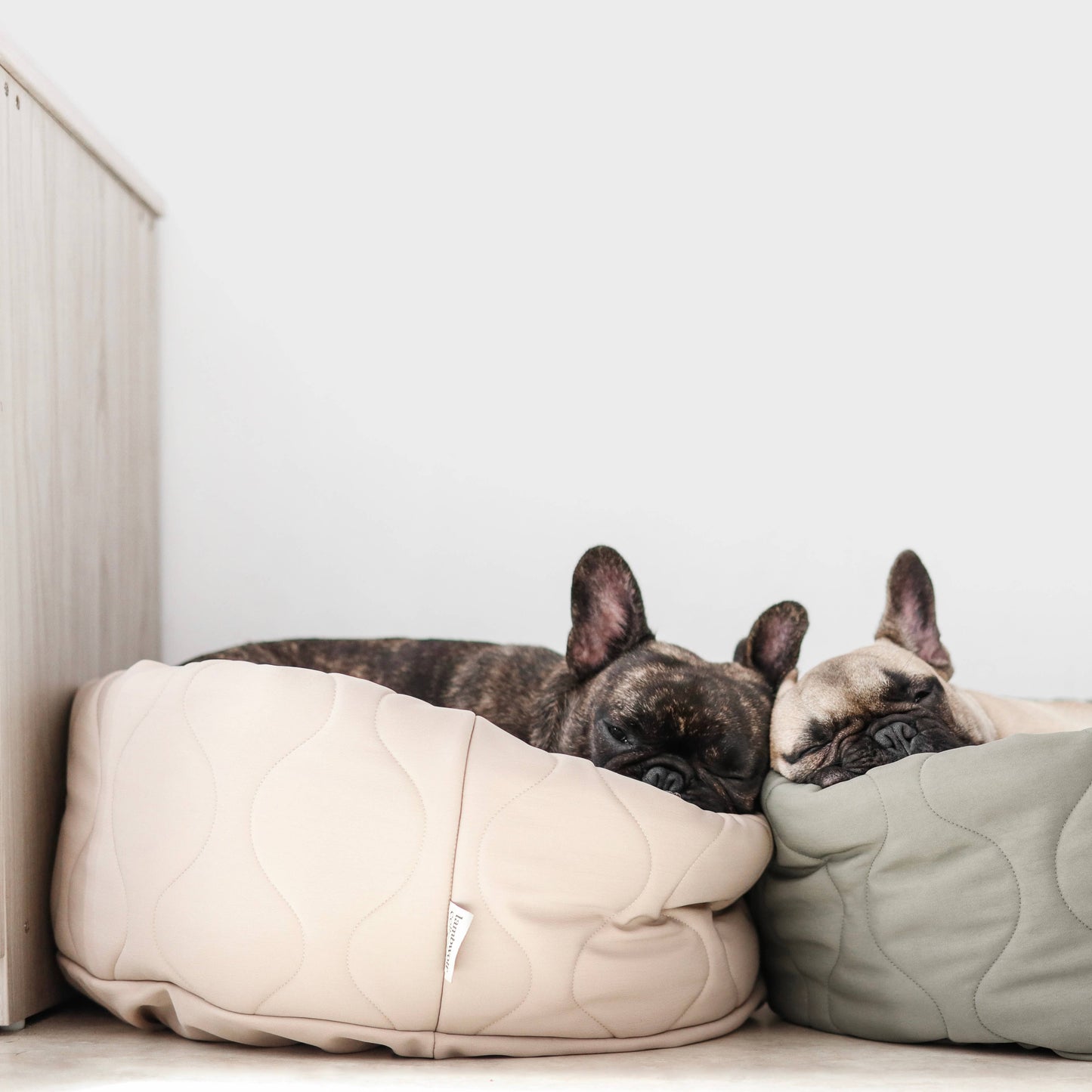 TAART DOG BED