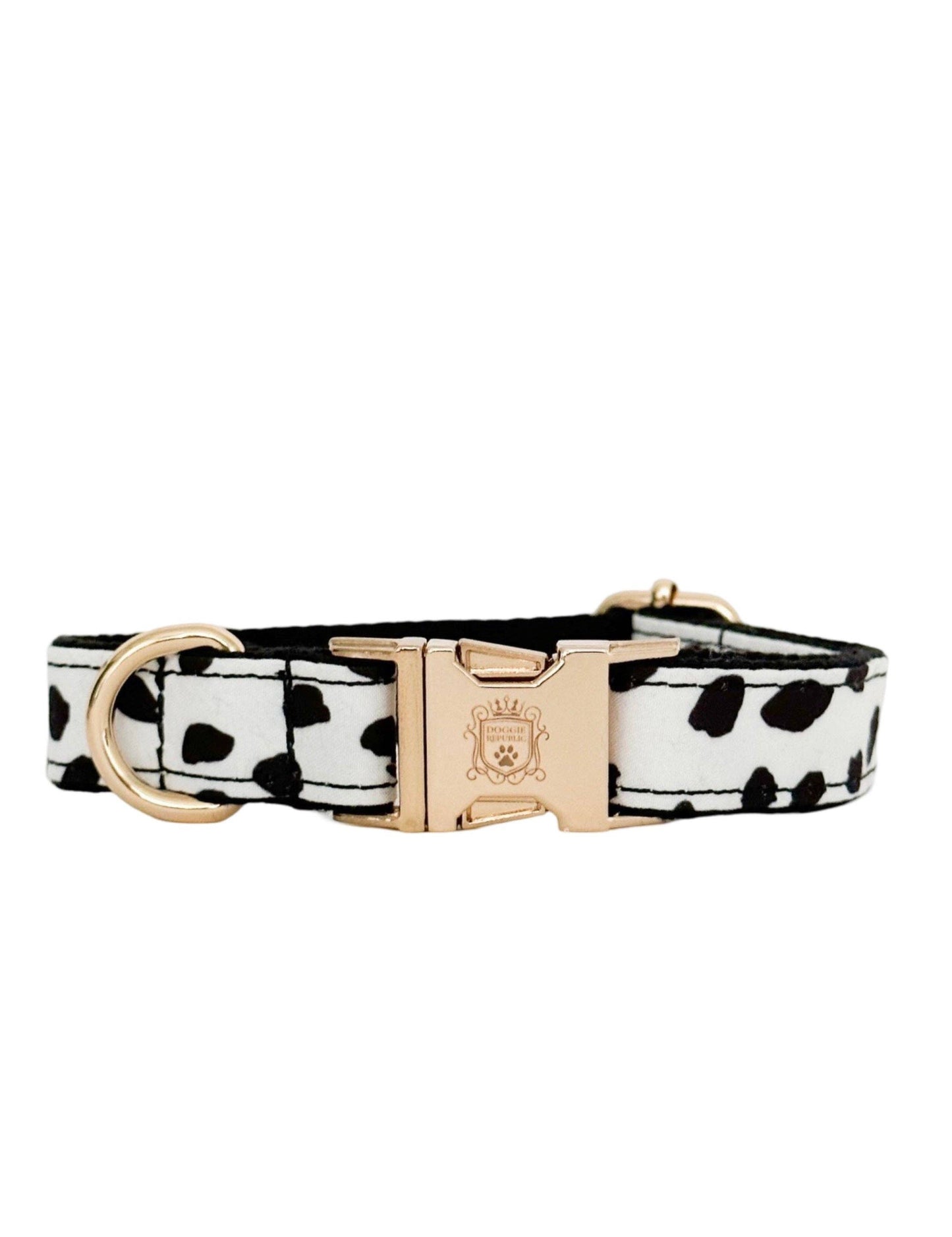 The Doggie Collar - London