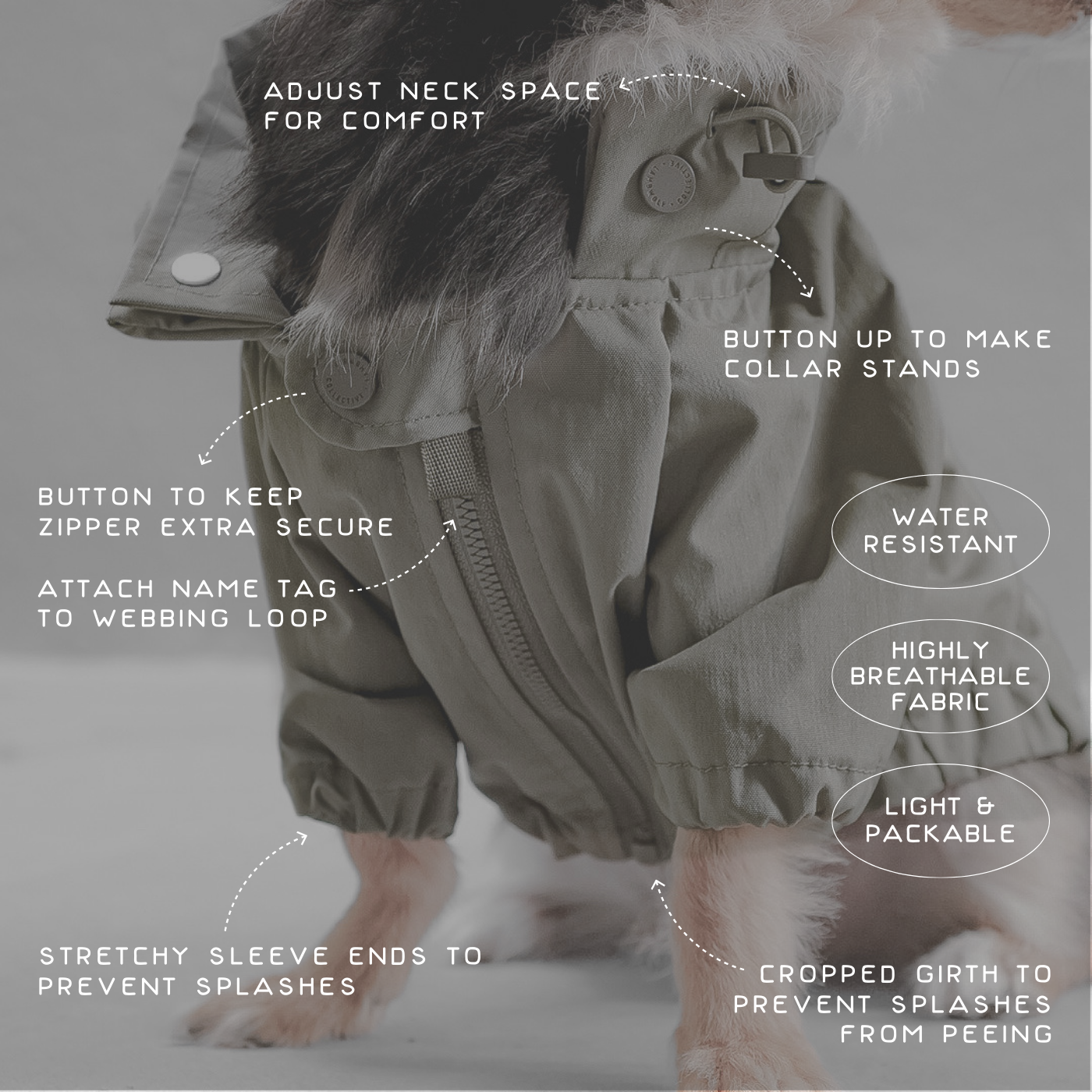 BROOKLYN DOG COAT
