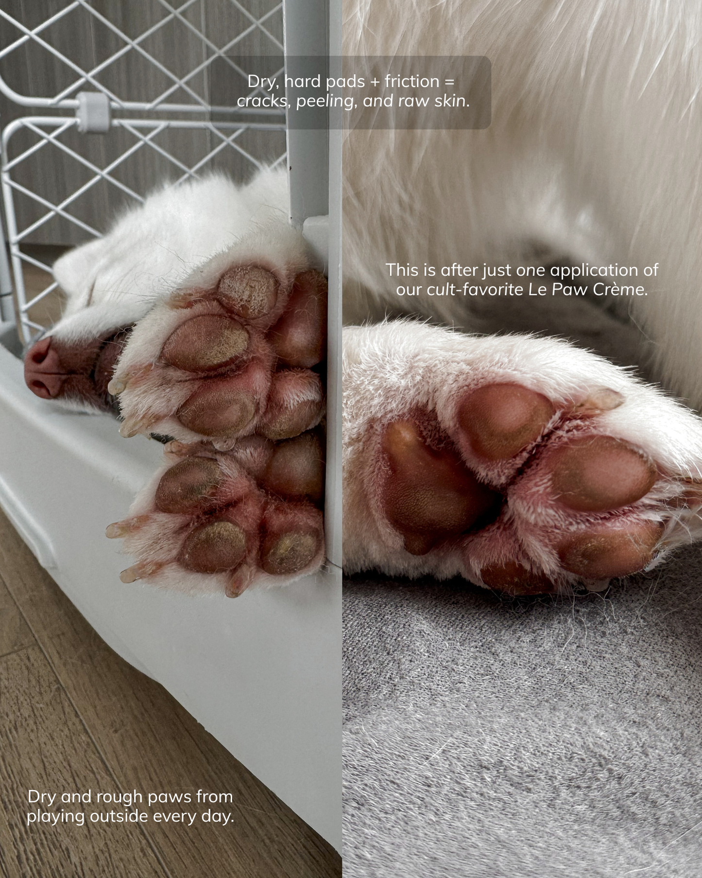 Le Paw Cream