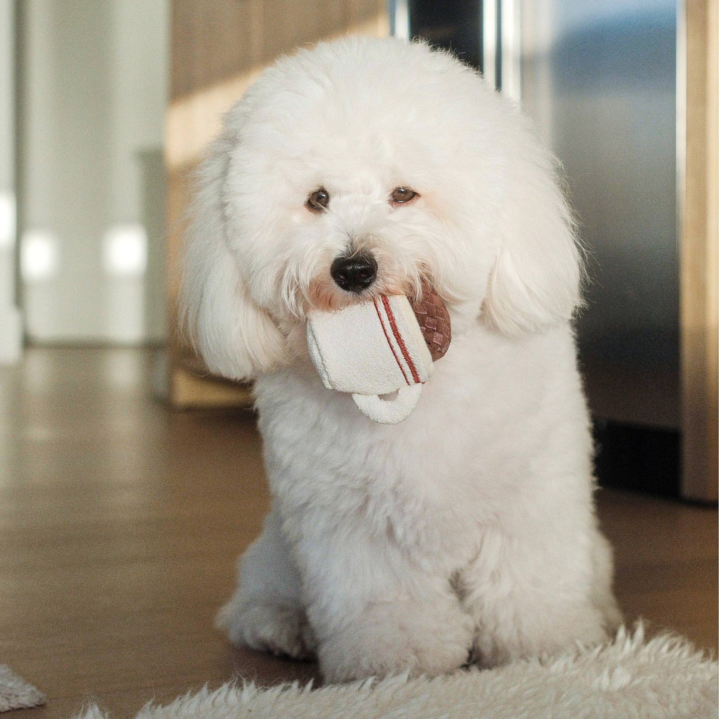 EXPRESSO POP ENRICHMENT DOG TOY