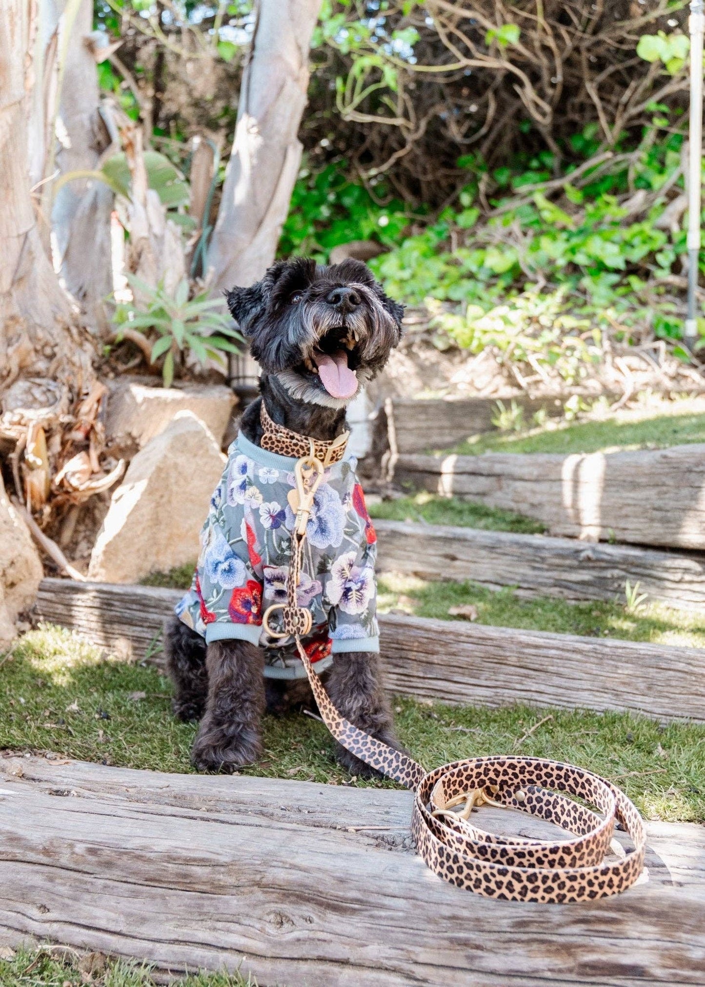 Wander! Multiway Waterproof Leash Leopard