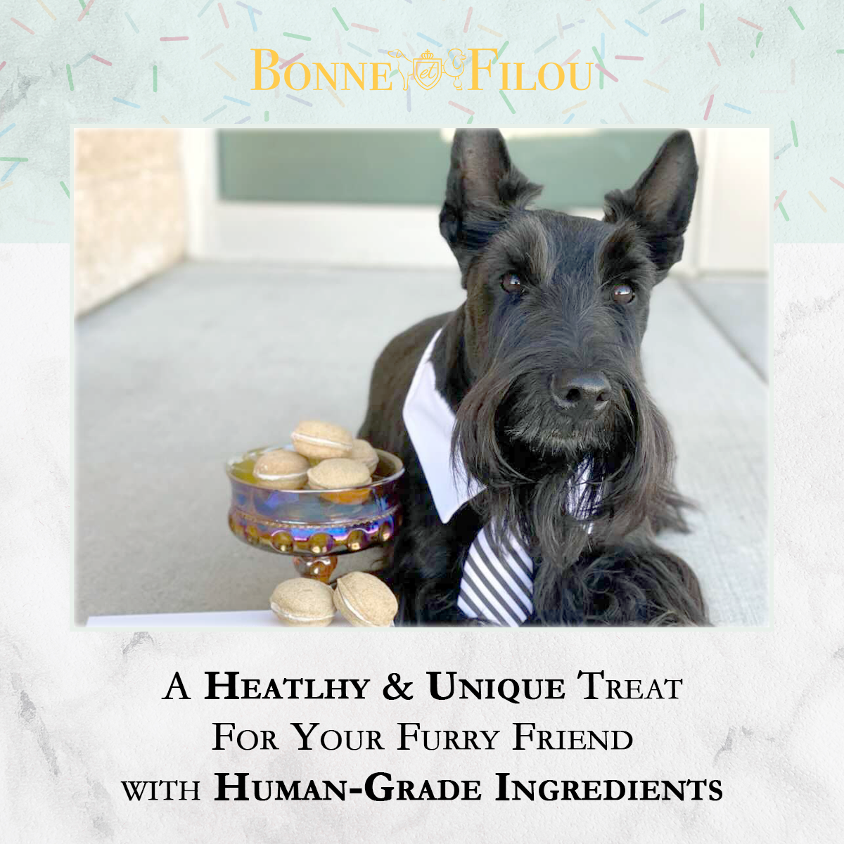 Dog Macarons | Dog Gifts (3 count)