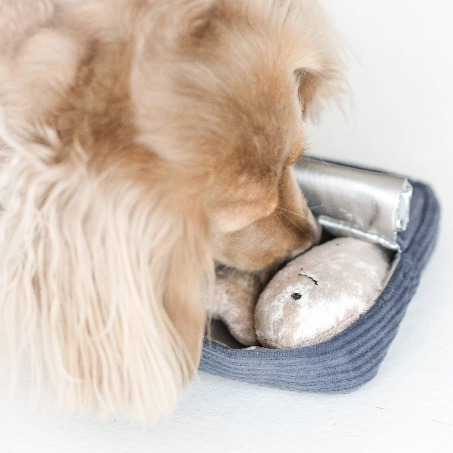 Sardines - Enrichment Dog Toy
