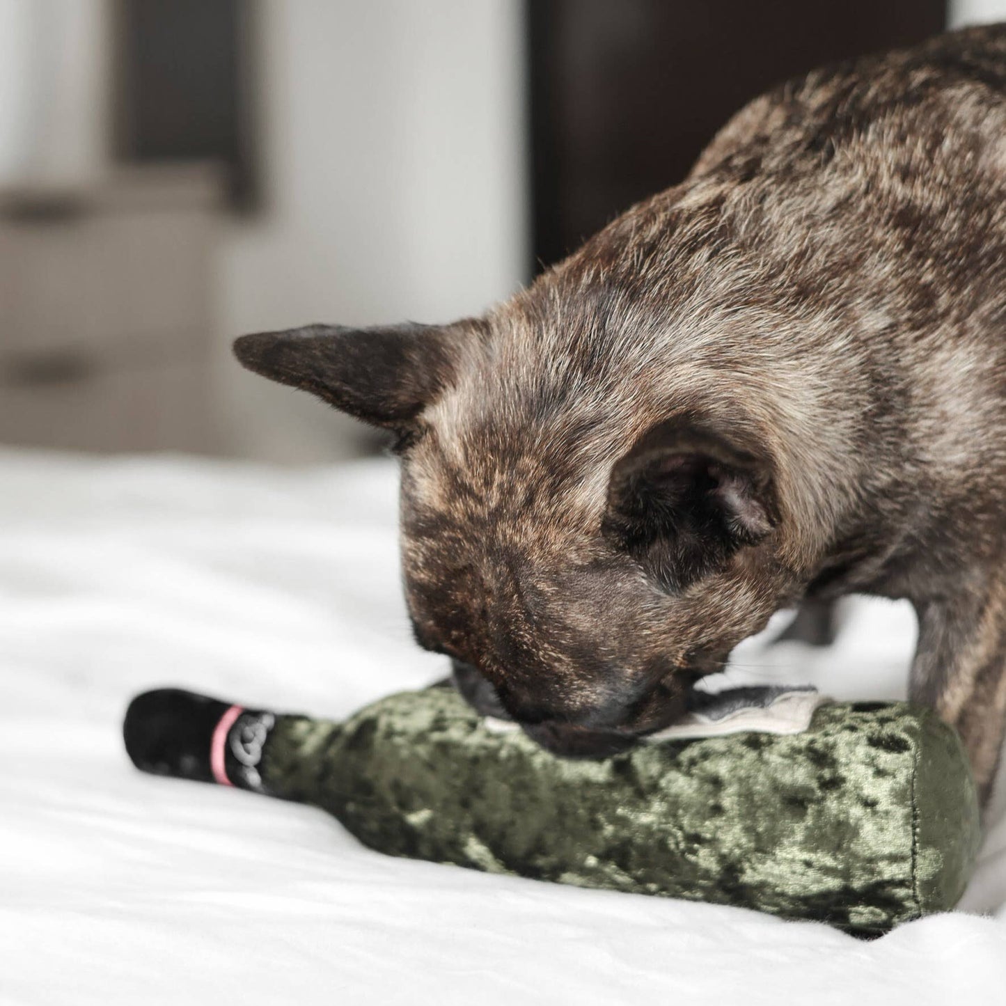 Merlot Wine Bottle / Enrichment Dog Toy