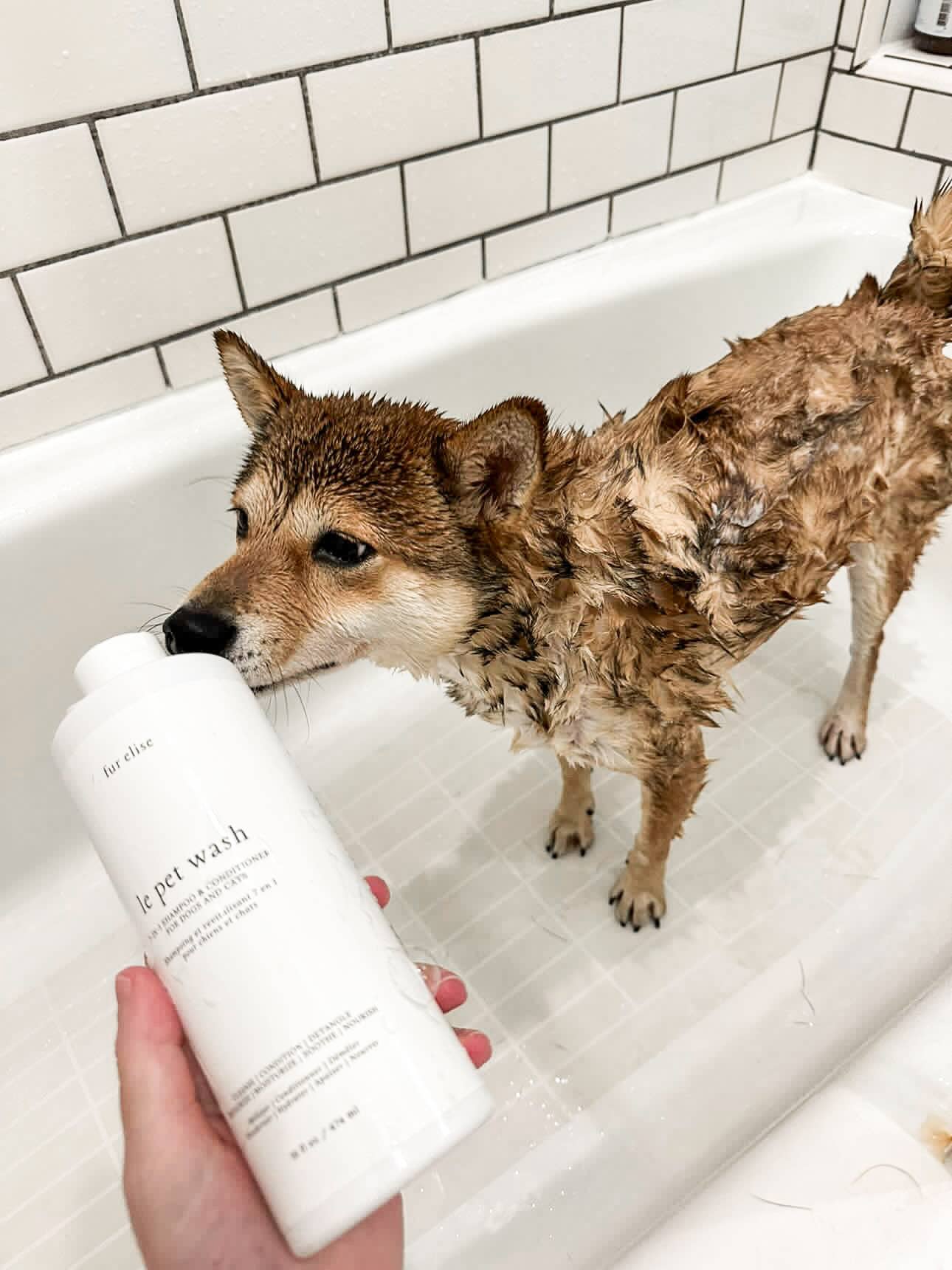 Le Pet Wash