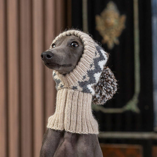 Woolly Winter Alpaca Dog Hat