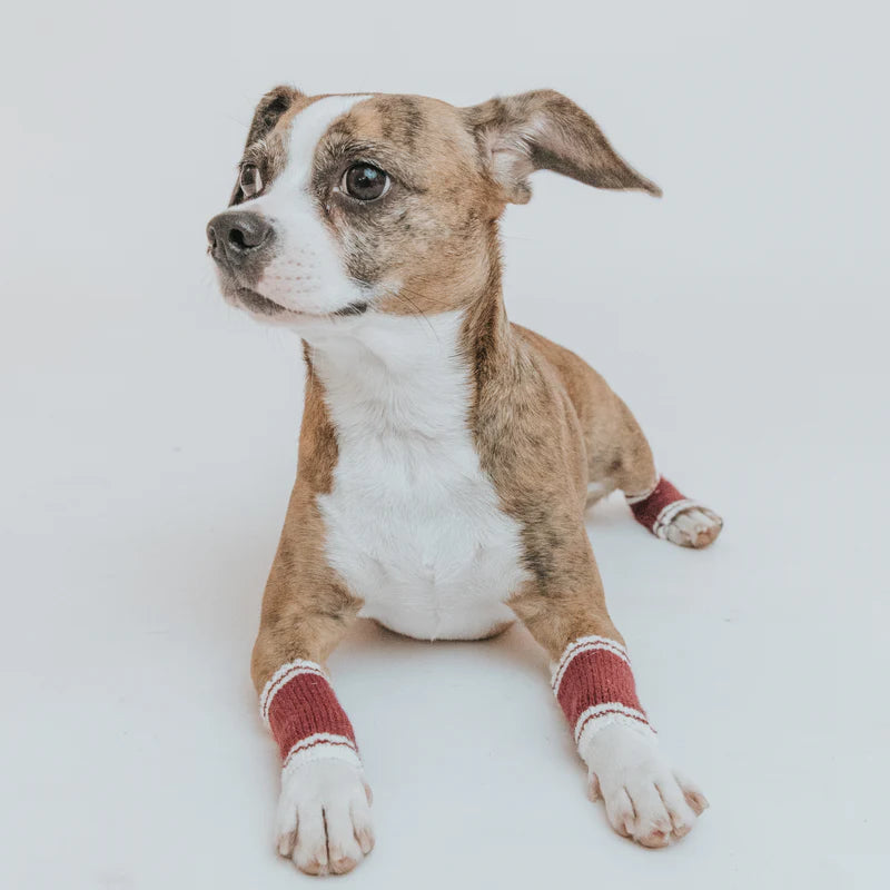 Leg Warmers